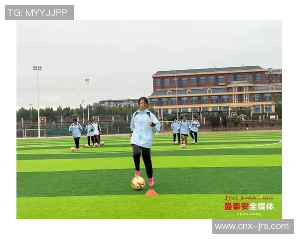 足球C的魅力与挑战探索足球文化的深度与广度